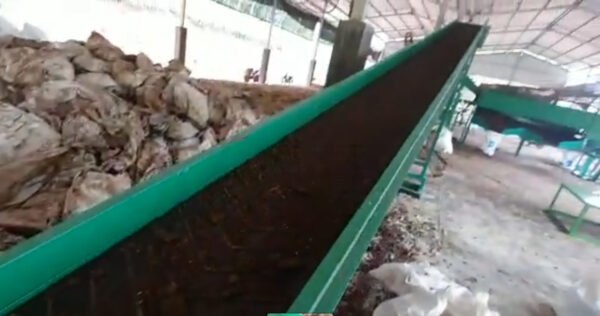 Mesin Pupuk Limbah Ayam (3)